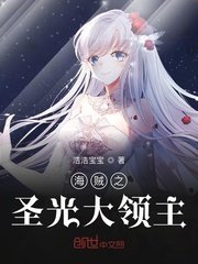海賊之聖光大領主