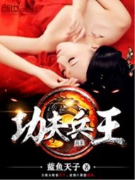 《功夫兵王》