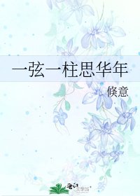 《一弦一柱思華年》