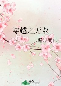 《穿越之無雙》