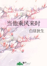 《當他乘風來時》