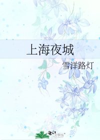 《上海夜城》