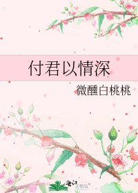 《付君以情深》