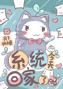 《系統今天回家了嗎》